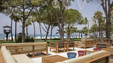 Acanthus & Cennet Barut Collection