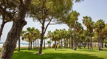 Acanthus Cennet Barut Collection