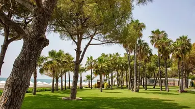 Acanthus Cennet Barut Collection