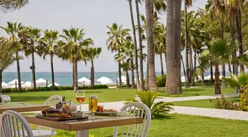 Acanthus Cennet Barut Collection