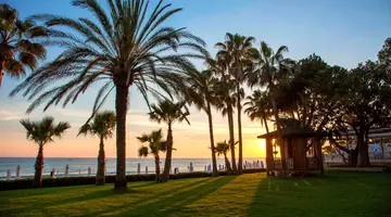 Acanthus Cennet Barut Collection