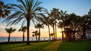 Acanthus Cennet Barut Collection