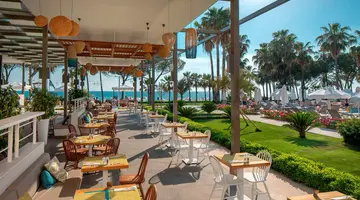 Acanthus Cennet Barut Collection