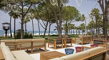 Acanthus&Cennet Barut Collection