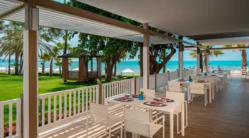 Acanthus Cennet Barut Collection
