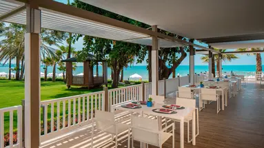 Acanthus Cennet Barut Collection