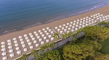 Acanthus&Cennet Barut Collection