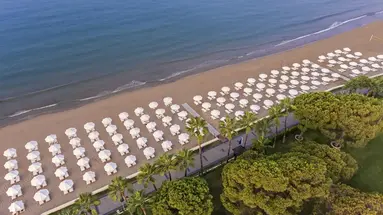 Acanthus&Cennet Barut Collection