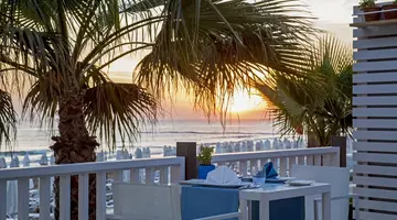 Acanthus&Cennet Barut Collection