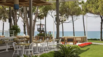 ACANTHUS CENNET BARUT COLLECTION