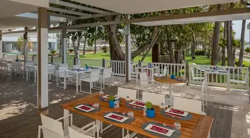 Acanthus Cennet Barut Collection