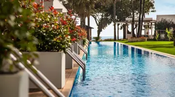 Acanthus Cennet Barut Collection