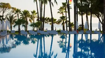 Acanthus Cennet Barut Collection