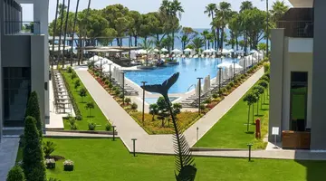 Acanthus Cennet Barut Collection