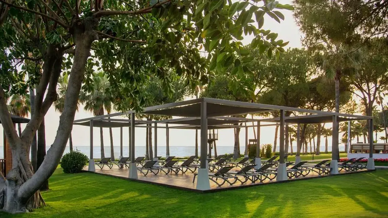 Acanthus & Cennet Barut Collection