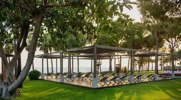 Acanthus Cennet Barut Collection
