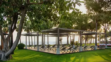 Acanthus Cennet Barut Collection