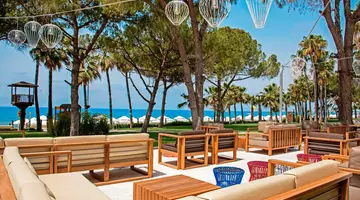 Acanthus Cennet Barut Collection