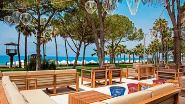 Acanthus Cennet Barut Collection