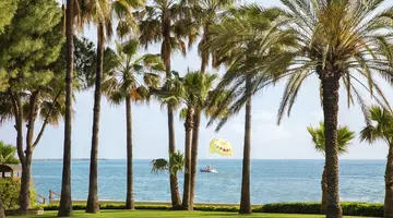 Acanthus&Cennet Barut Collection