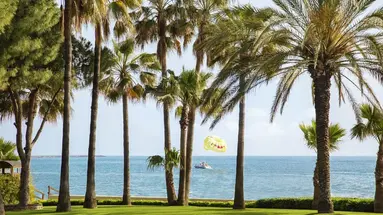 Acanthus&Cennet Barut Collection