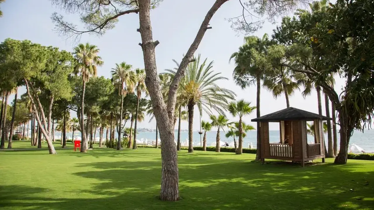 Acanthus & Cennet Barut Collection
