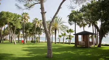 Acanthus Cennet Barut Collection