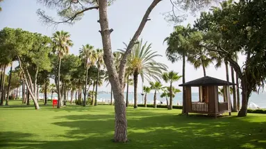 Acanthus Cennet Barut Collection