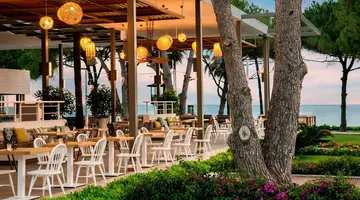 Acanthus Cennet Barut Collection