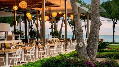 Acanthus Cennet Barut Collection