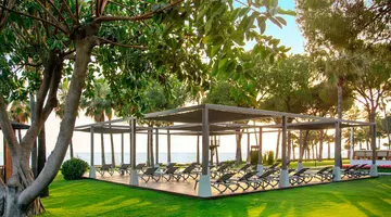 Acanthus Cennet Barut Collection