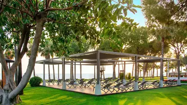Acanthus Cennet Barut Collection