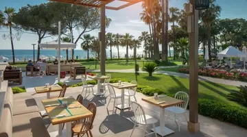 ACANTHUS & CENNET BARUT COLLECTION