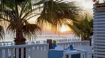Acanthus Cennet Barut Collection