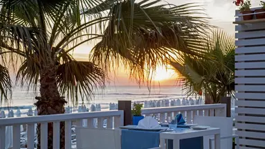 Acanthus Cennet Barut Collection