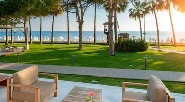 Acanthus Cennet Barut Collection