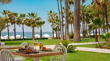 Acanthus Cennet Barut Collection