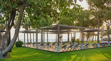 ACANTHUS CENNET BARUT COLLECTION