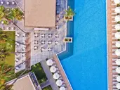 Acanthus Cennet Barut Collection