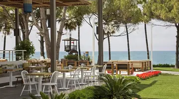 Acanthus&Cennet Barut Collection