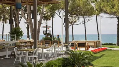 Acanthus&Cennet Barut Collection