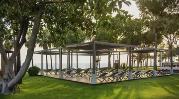 Acanthus&Cennet Barut Collection