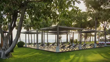 Acanthus&Cennet Barut Collection