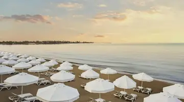 Acanthus&Cennet Barut Collection