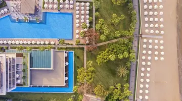Acanthus&Cennet Barut Collection