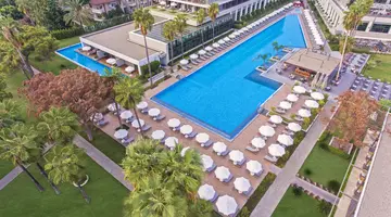 ACANTHUS CENNET BARUT COLLECTION