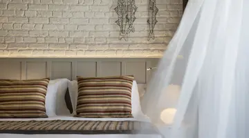 ACANTHUS CENNET BARUT COLLECTION