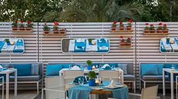 Acanthus Cennet Barut Collection