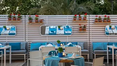 Acanthus Cennet Barut Collection