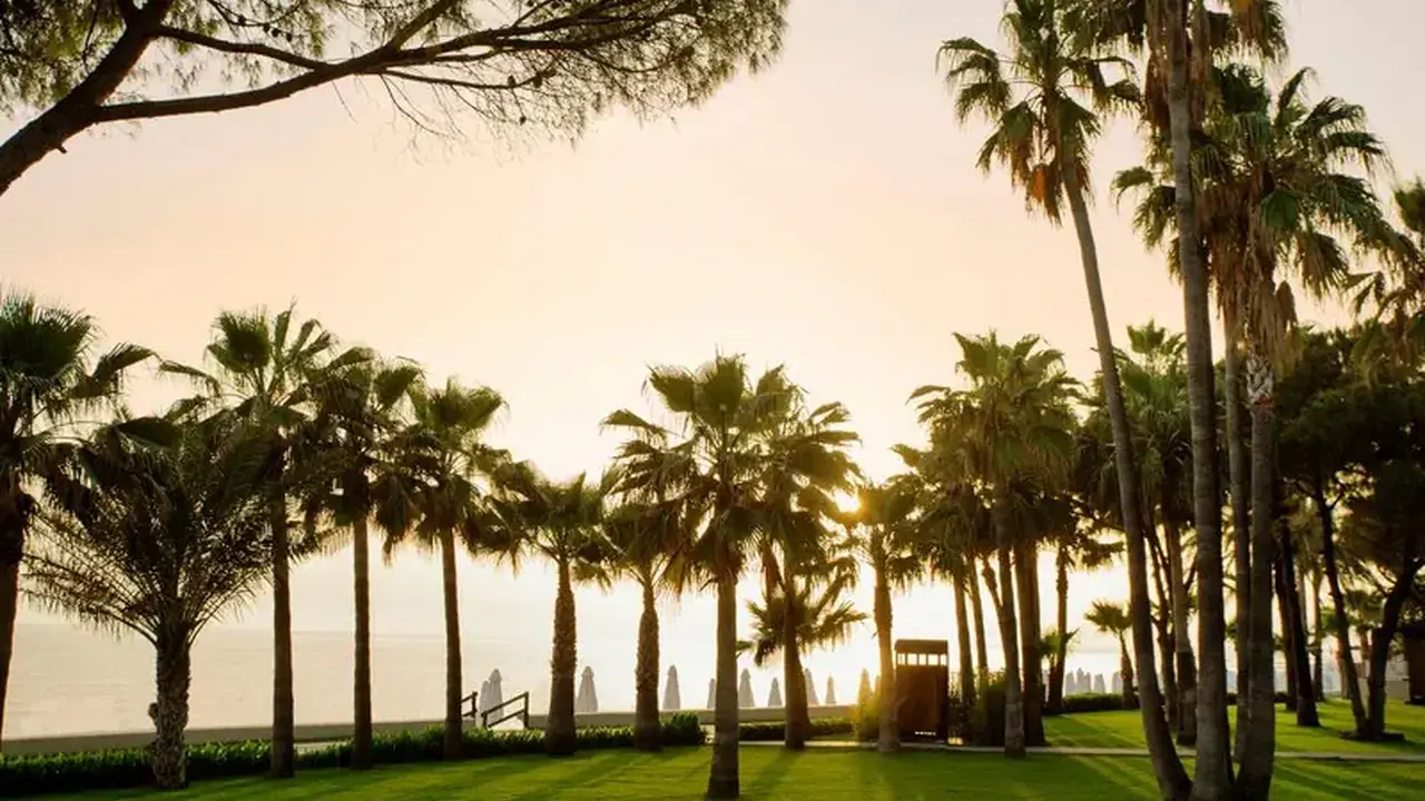 Acanthus & Cennet Barut Collection